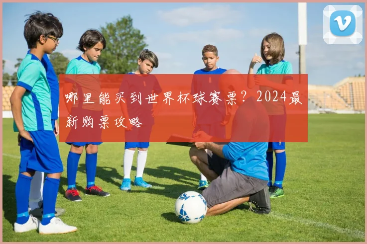 哪里能买到世界杯球赛票？2024最新购票攻略