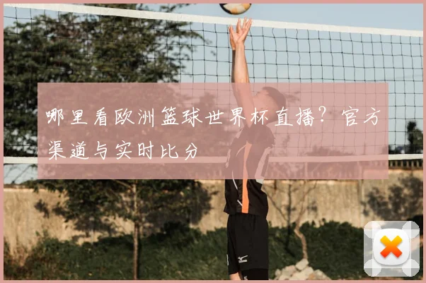 哪里看欧洲篮球世界杯直播?官方渠道与实时比分