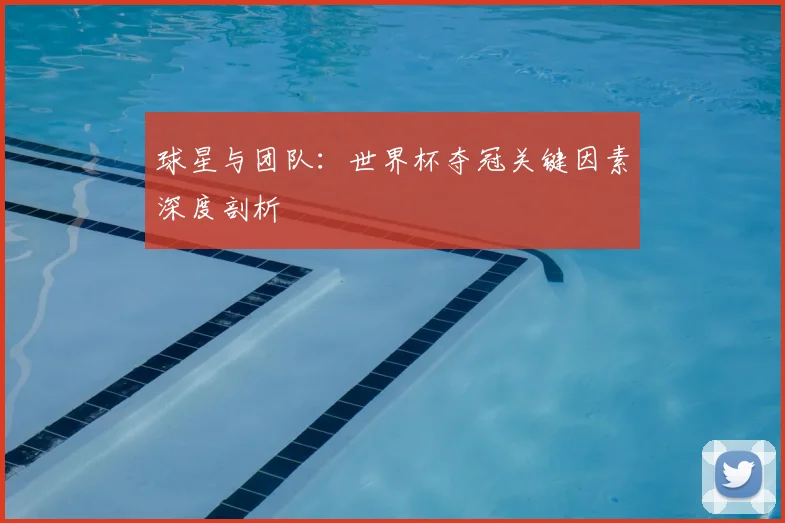 球星与团队：世界杯夺冠关键因素深度剖析