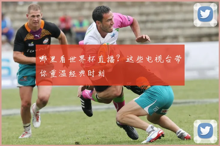 哪里看世界杯直播？这些电视台带你重温经典时刻