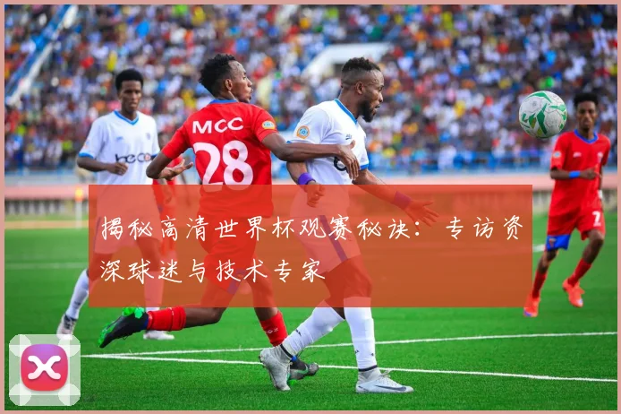 揭秘高清世界杯观赛秘诀：专访资深球迷与技术专家