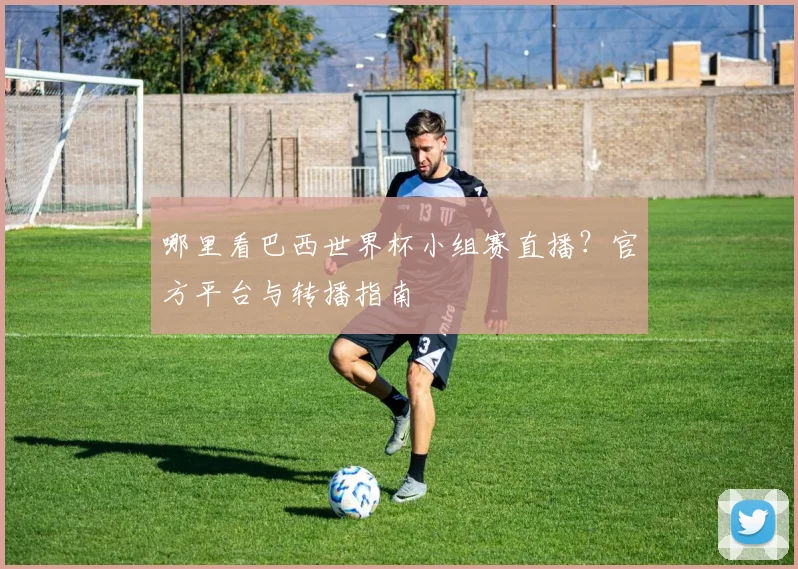 哪里看巴西世界杯小组赛直播？官方平台与转播指南