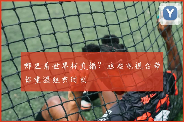 哪里看世界杯直播？这些电视台带你重温经典时刻