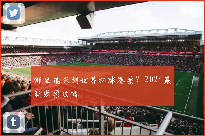 哪里能买到世界杯球赛票？2024最新购票攻略