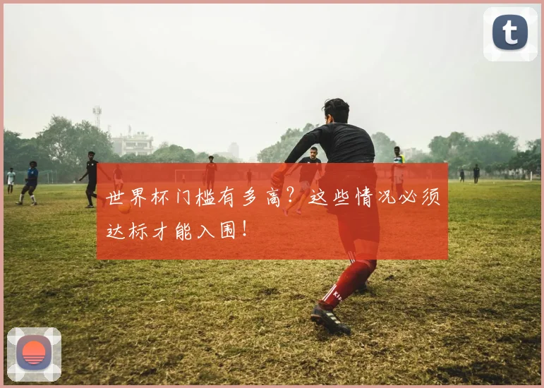 世界杯门槛有多高？这些情况必须达标才能入围！