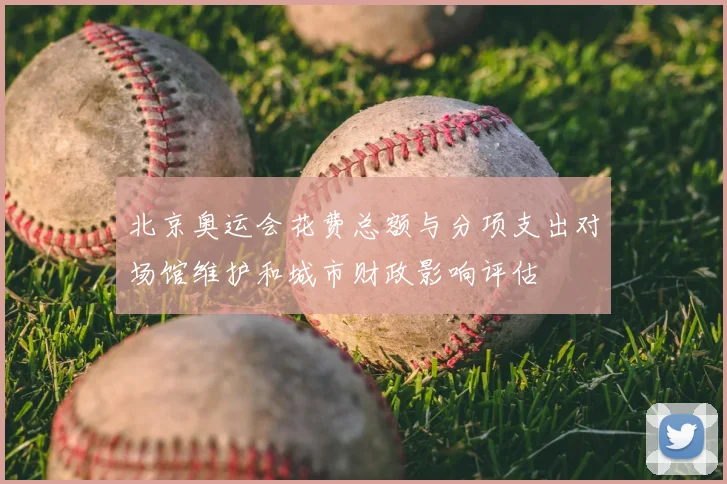 北京奥运会花费总额与分项支出对场馆维护和城市财政影响评估