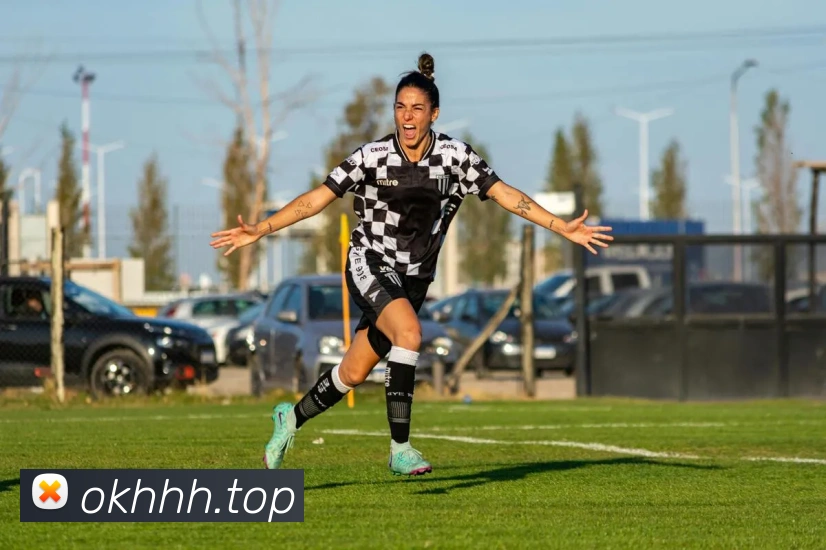 beat365官方网站入口平台生态图